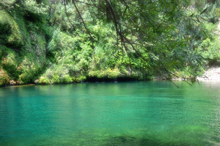 Beautiful Swaik Lake 768x509