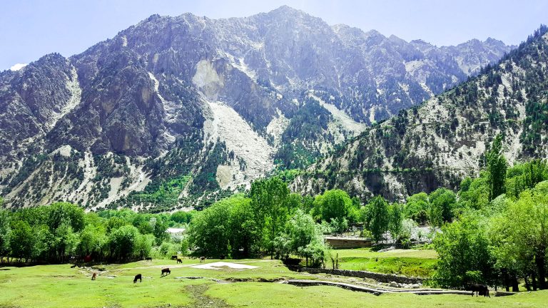 Bumburet Valley   Kalash 768x432