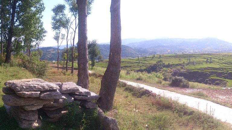 Konsh Valley Chattar Planes Mansehra KPK Pakistan   33 768x432