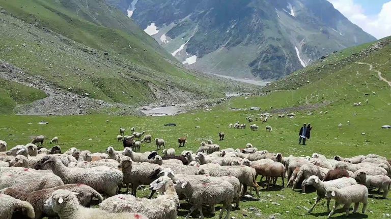 maxresdefault 2 768x432