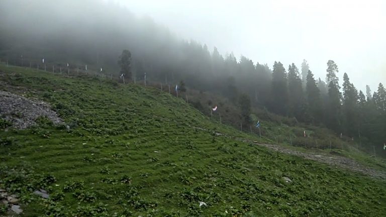 maxresdefault 3 768x432