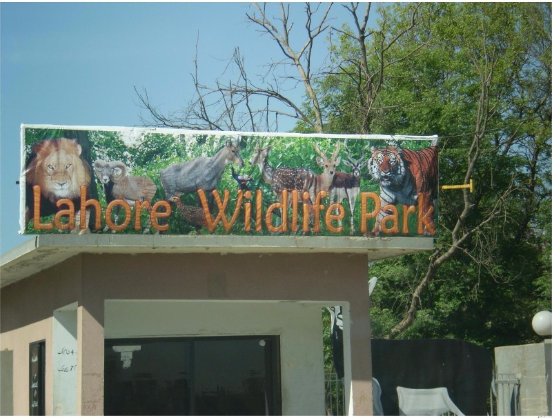 safari wildlife park lahore