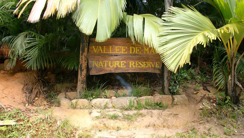 Kompliment Vellykket torsdag Vallée de Mai Nature Reserve - Ghoomlo.pk