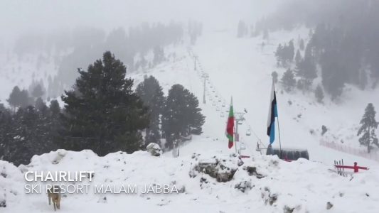 Image result for malam jabba snow